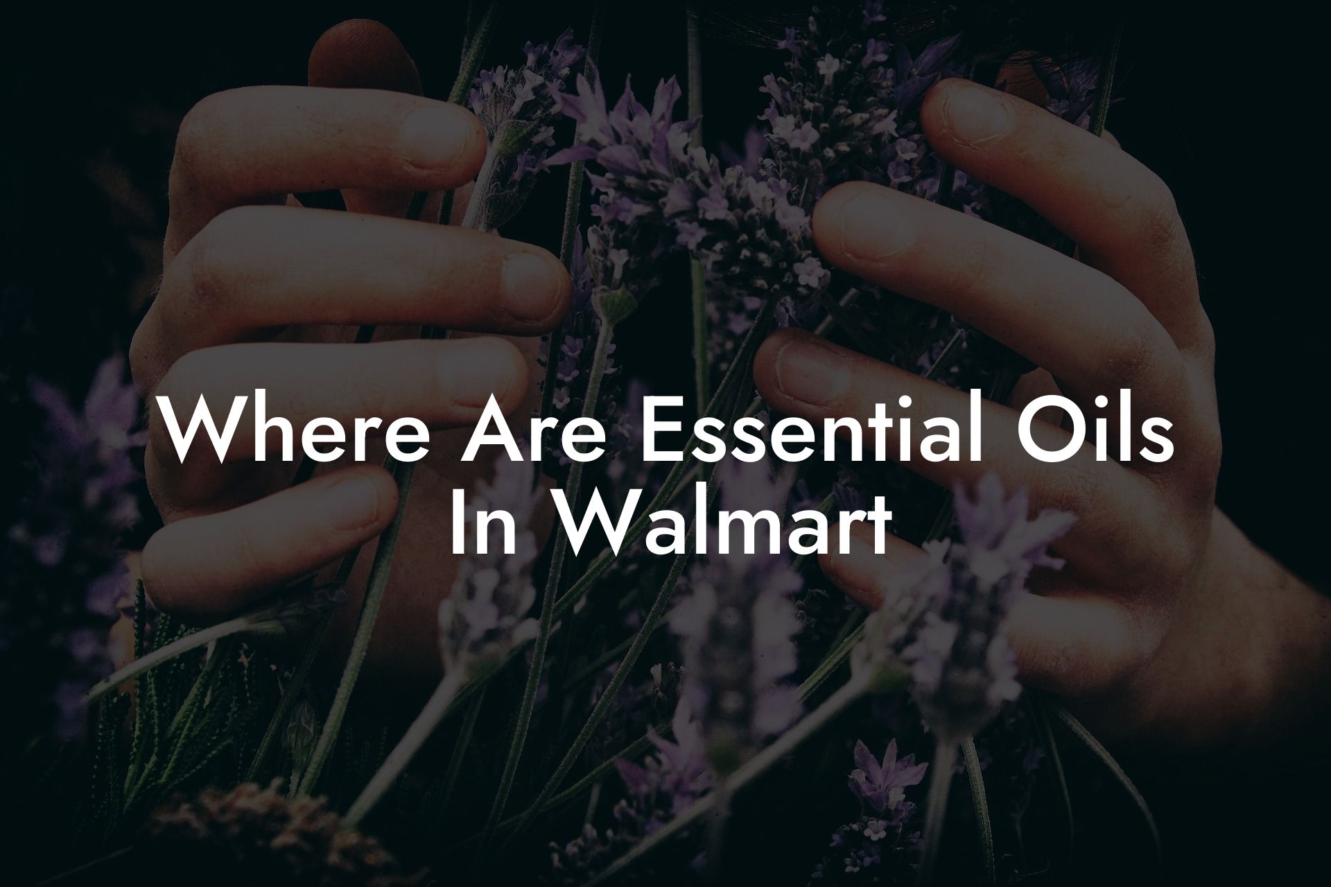 Where Are Essential Oils In Walmart
