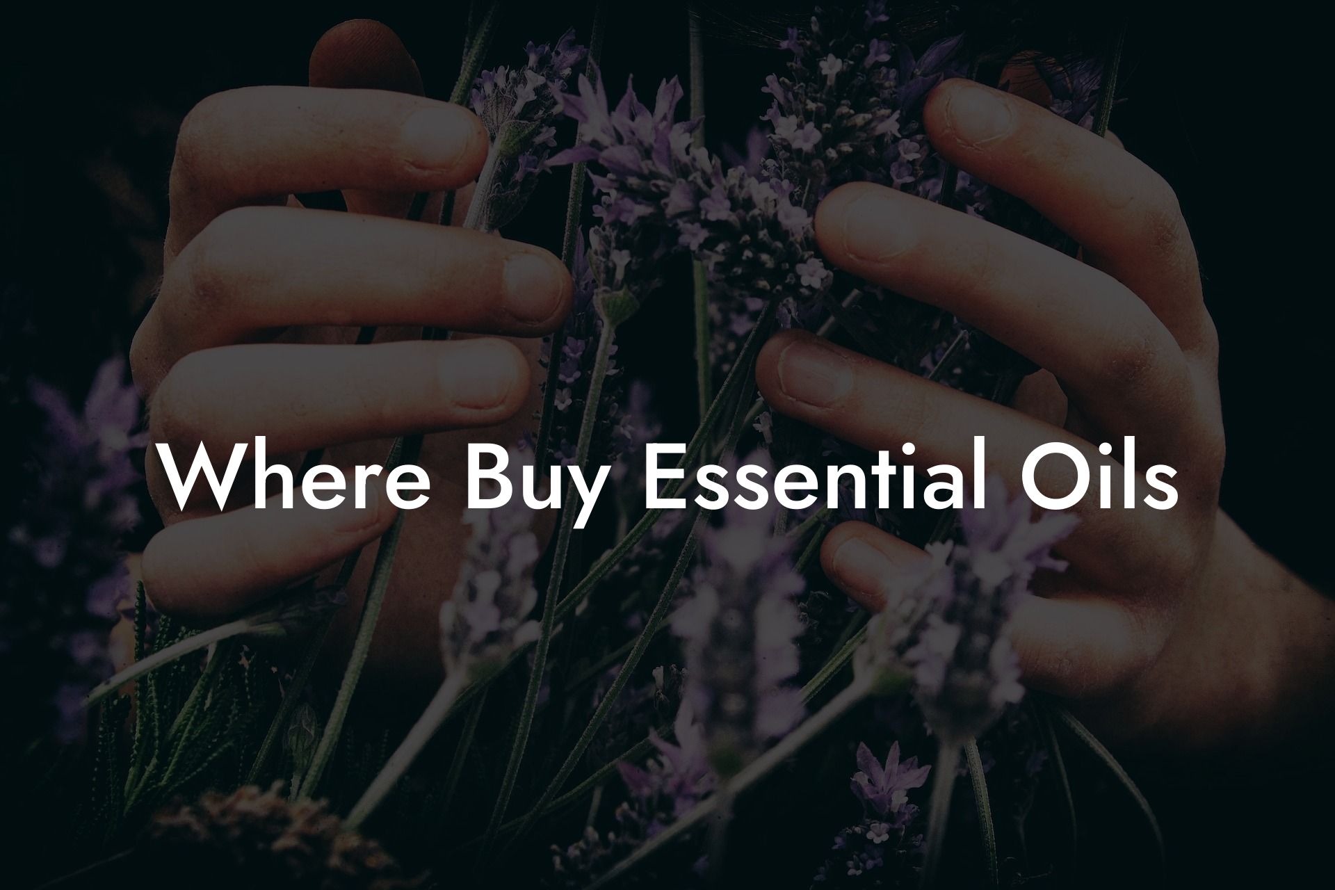 Where Buy Essential Oils