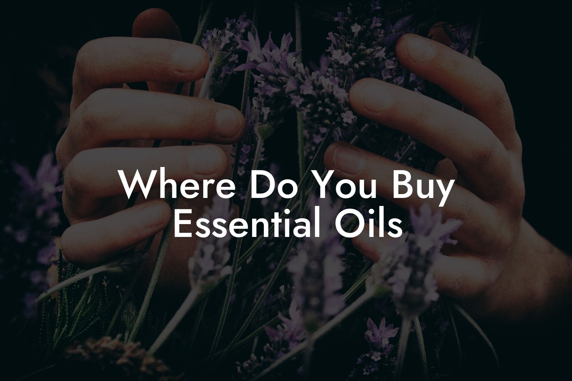 Where Do You Buy Essential Oils