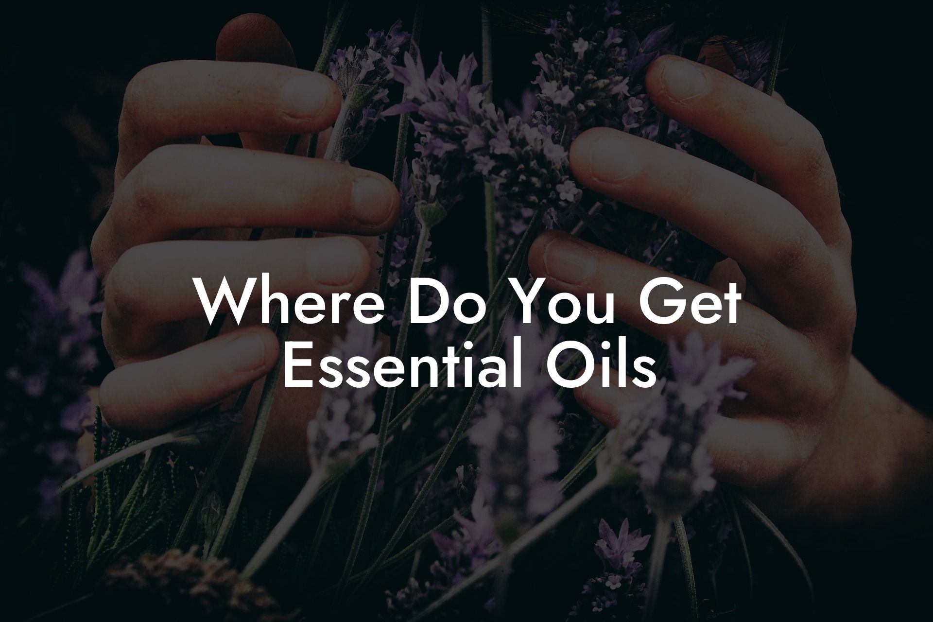 Where Do You Get Essential Oils