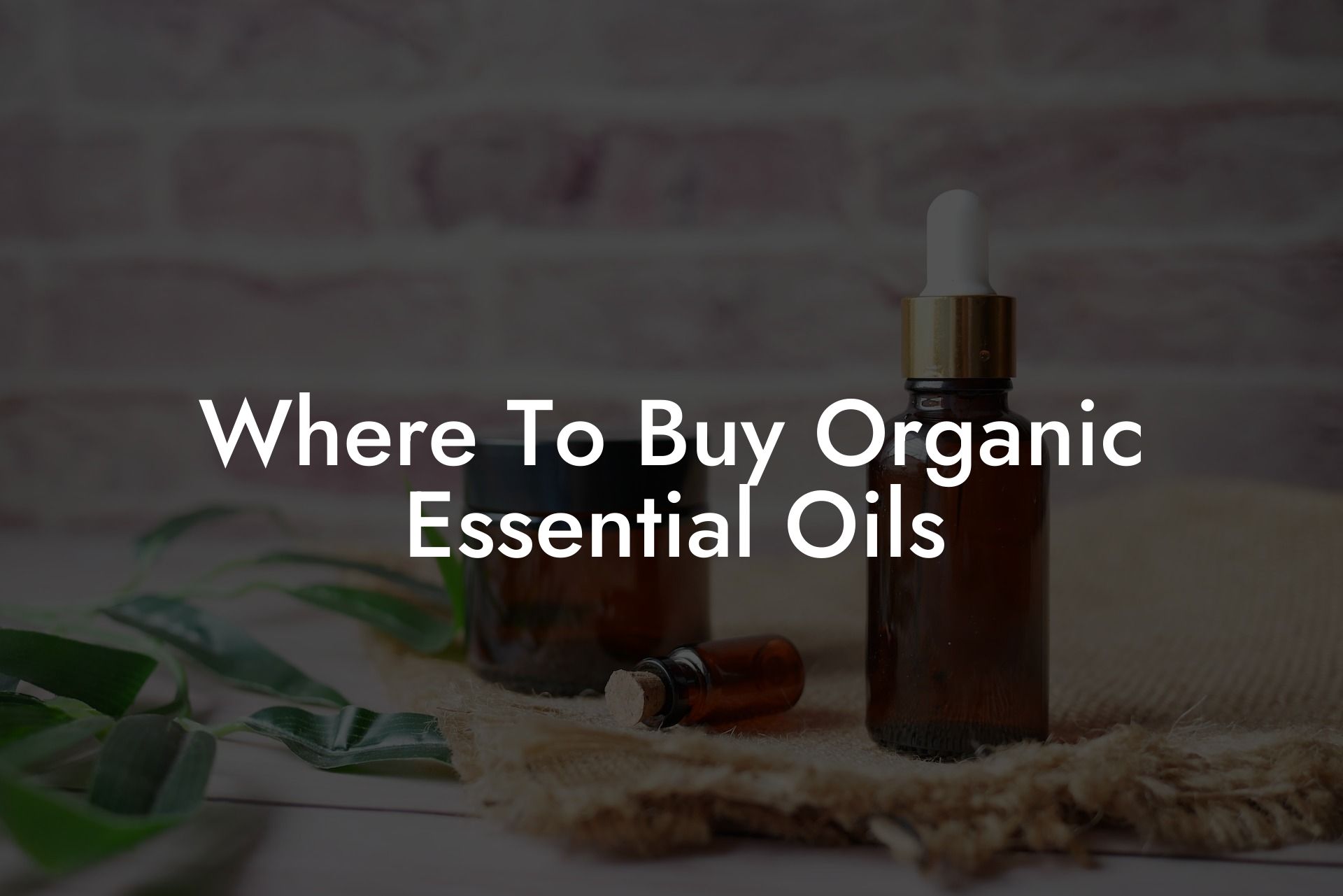 Where To Buy Organic Essential Oils