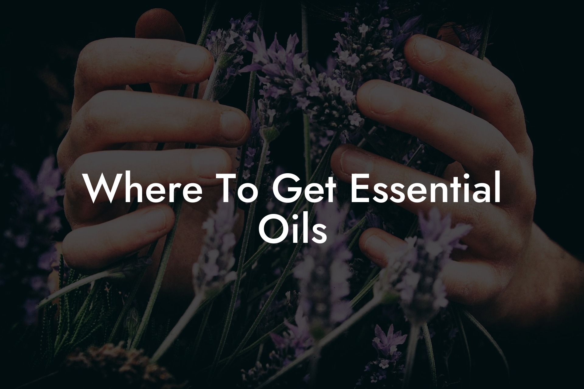 Where To Get Essential Oils