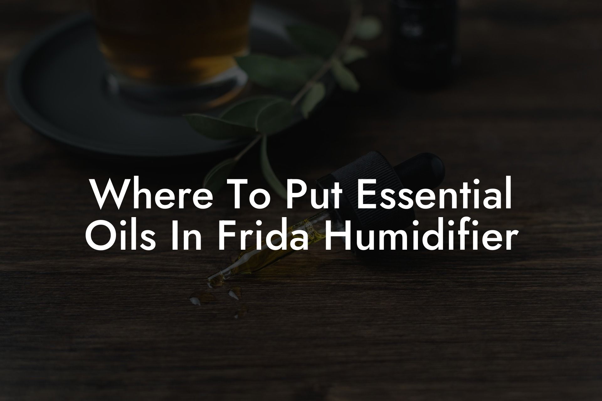 Where To Put Essential Oils In Frida Humidifier