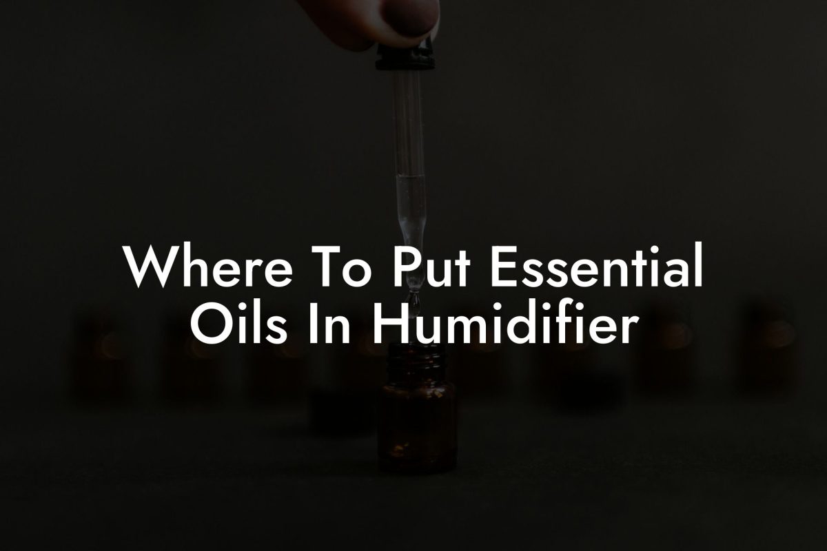 Where To Put Essential Oils In Humidifier