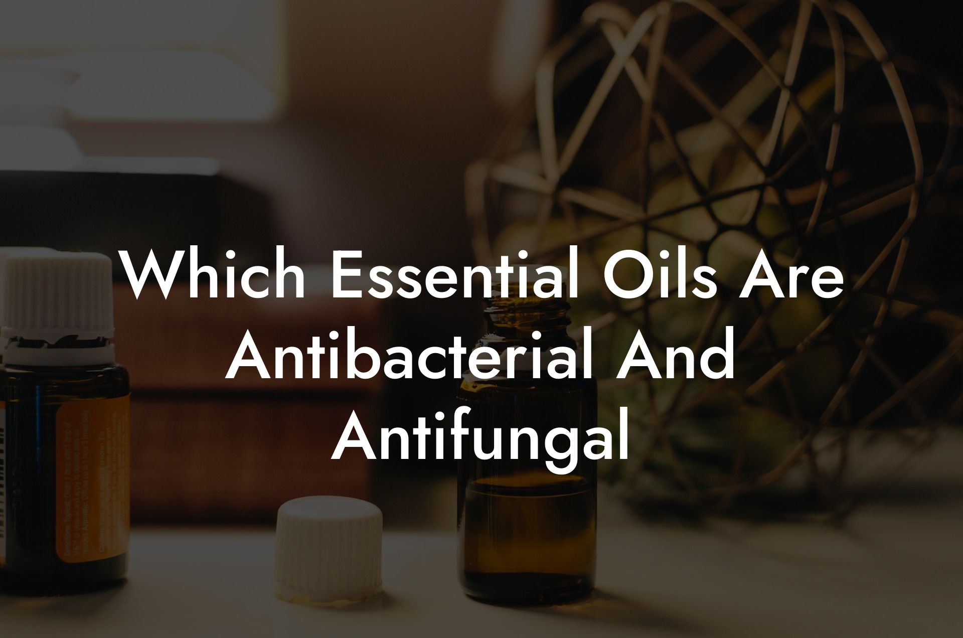 Which Essential Oils Are Antibacterial And Antifungal