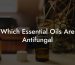 Which Essential Oils Are Antifungal