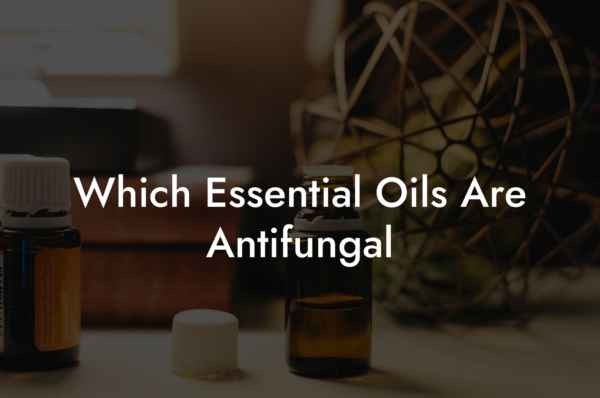 Which Essential Oils Are Antifungal