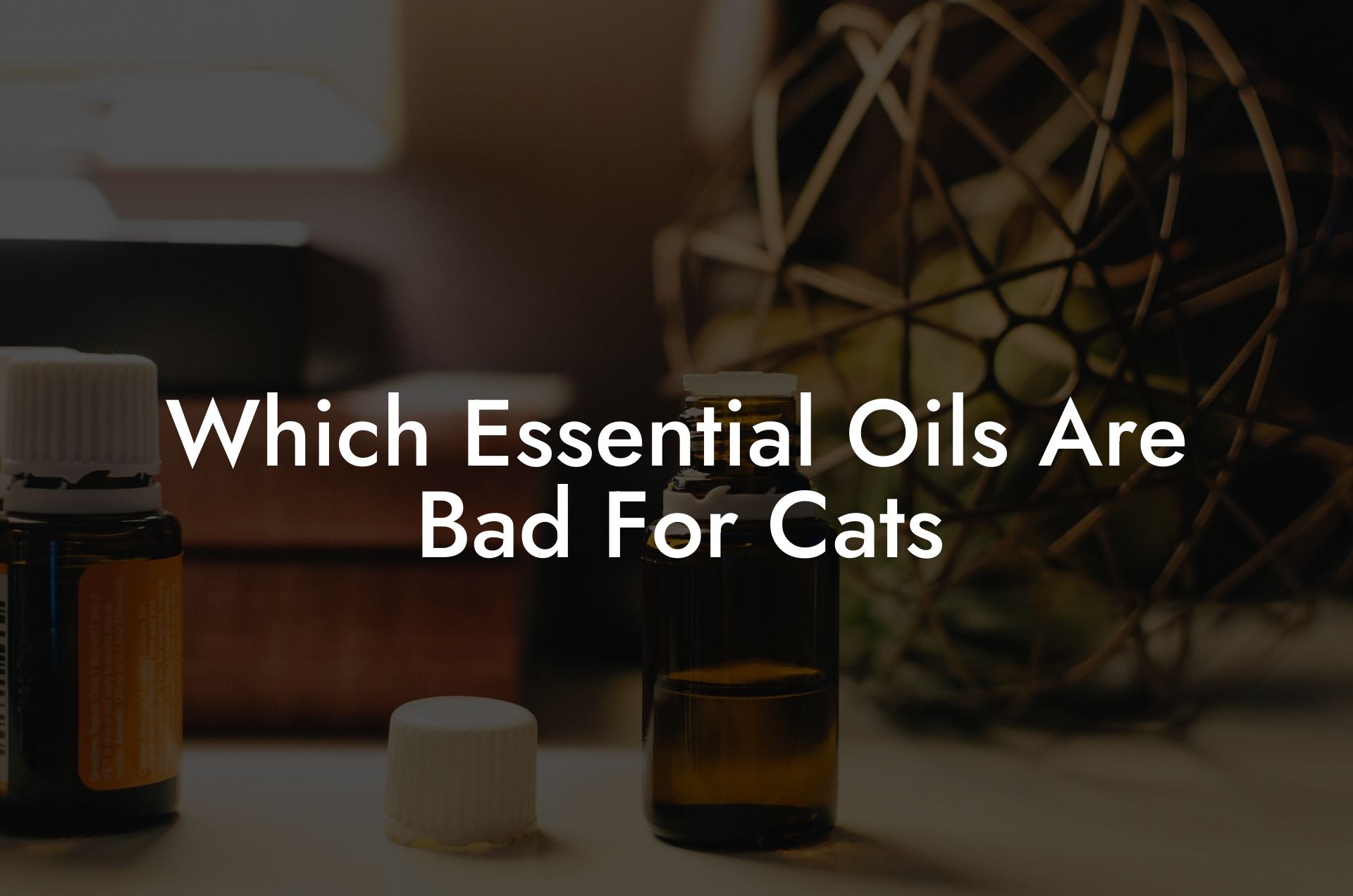 Which Essential Oils Are Bad For Cats