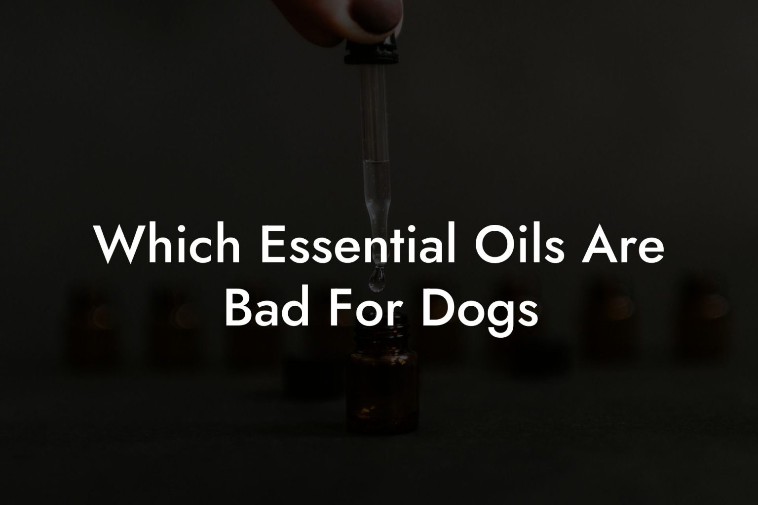 essential-oils-musk-oshu-artisan-essential-oils