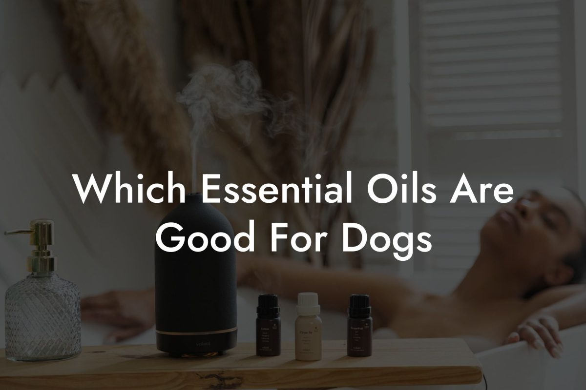 Which Essential Oils Are Good For Dogs