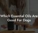 Which Essential Oils Are Good For Dogs