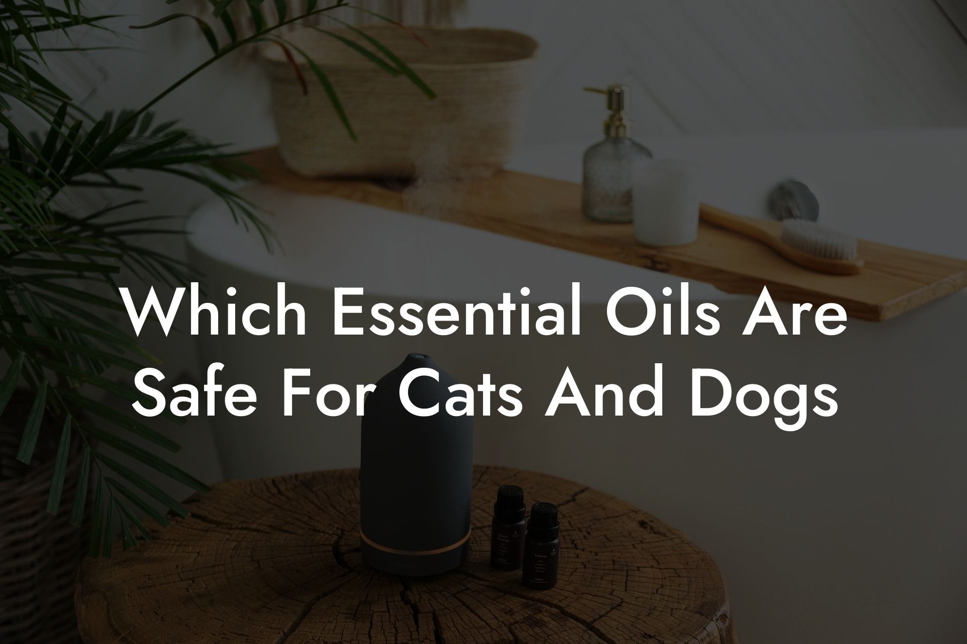 Which Essential Oils Are Safe For Cats And Dogs