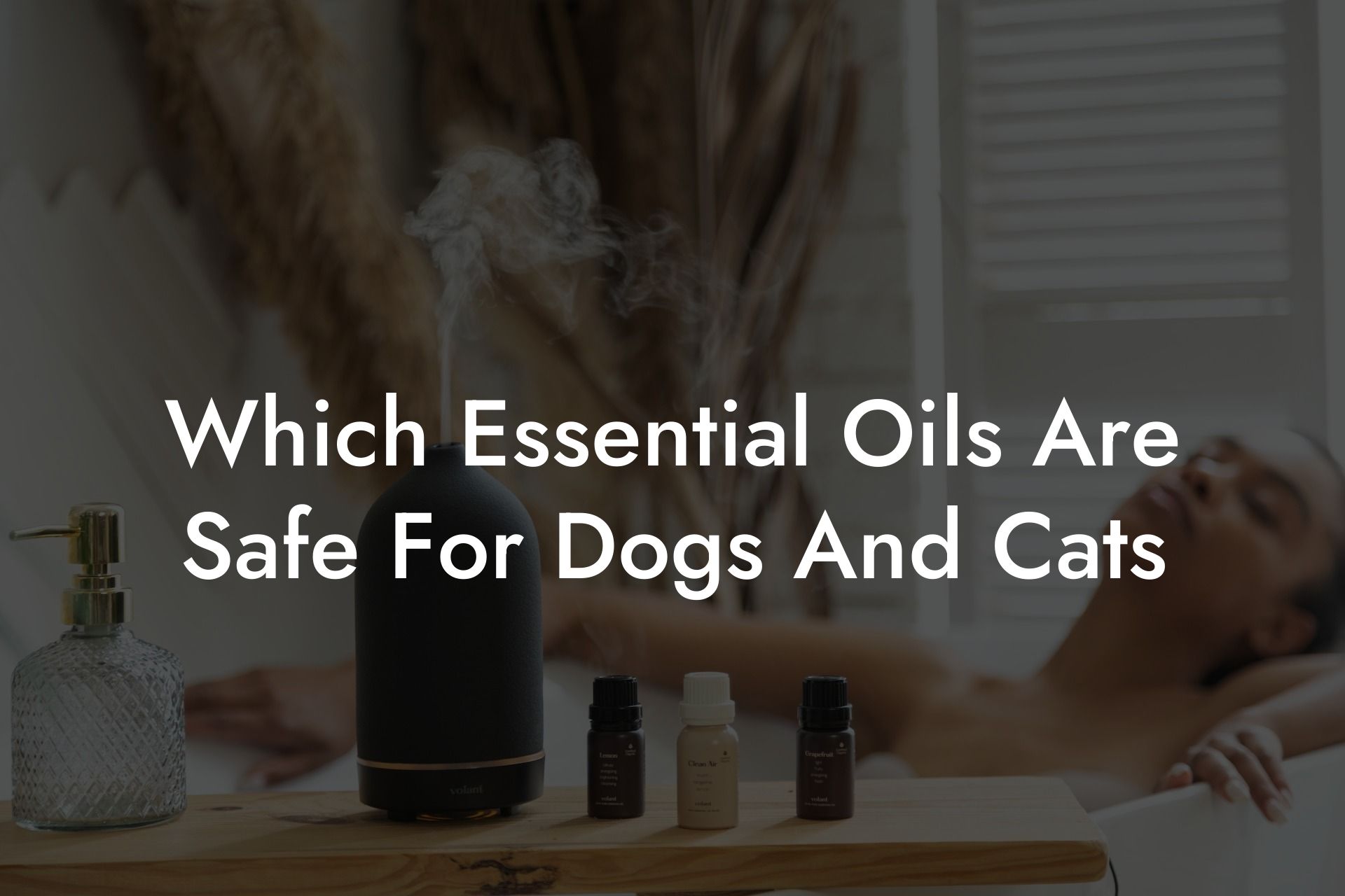 Which Essential Oils Are Safe For Dogs And Cats