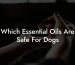Which Essential Oils Are Safe For Dogs