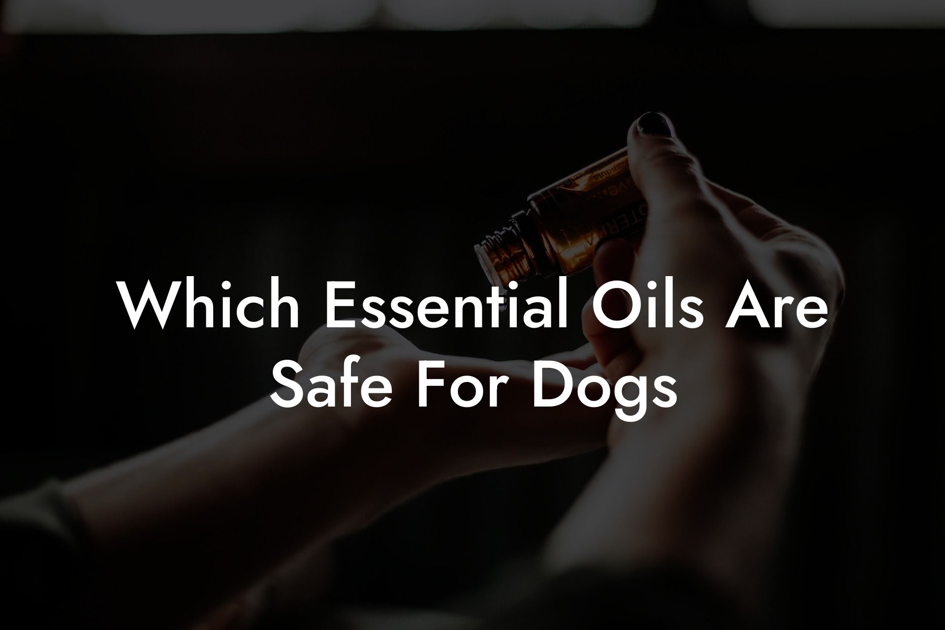 Which Essential Oils Are Safe For Dogs