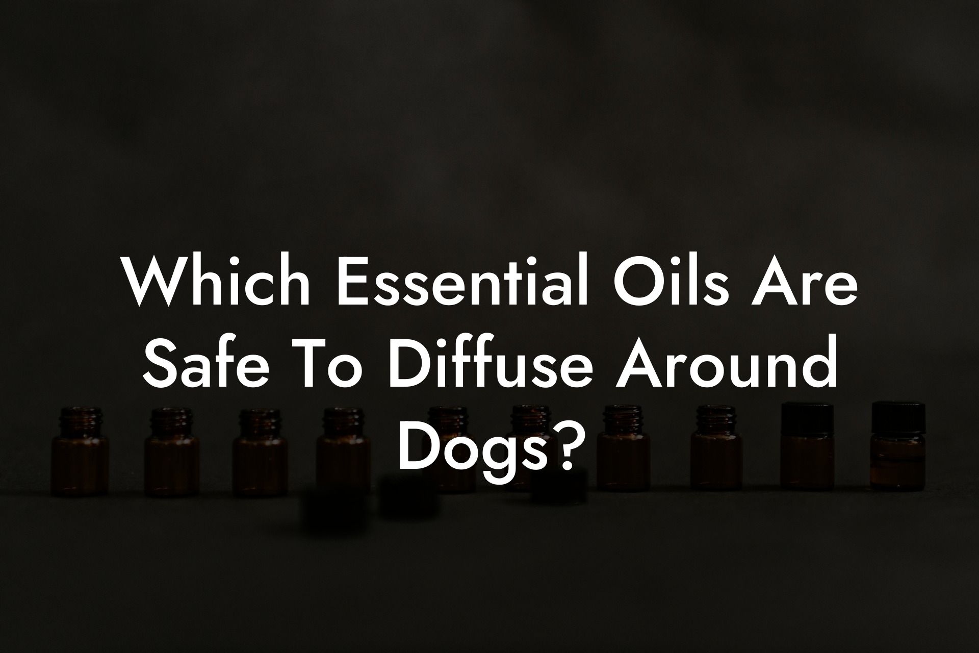 Which Essential Oils Are Safe To Diffuse Around Dogs?