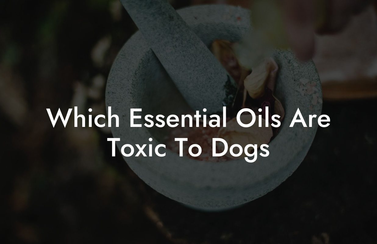 Which Essential Oils Are Toxic To Dogs
