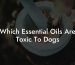 Which Essential Oils Are Toxic To Dogs
