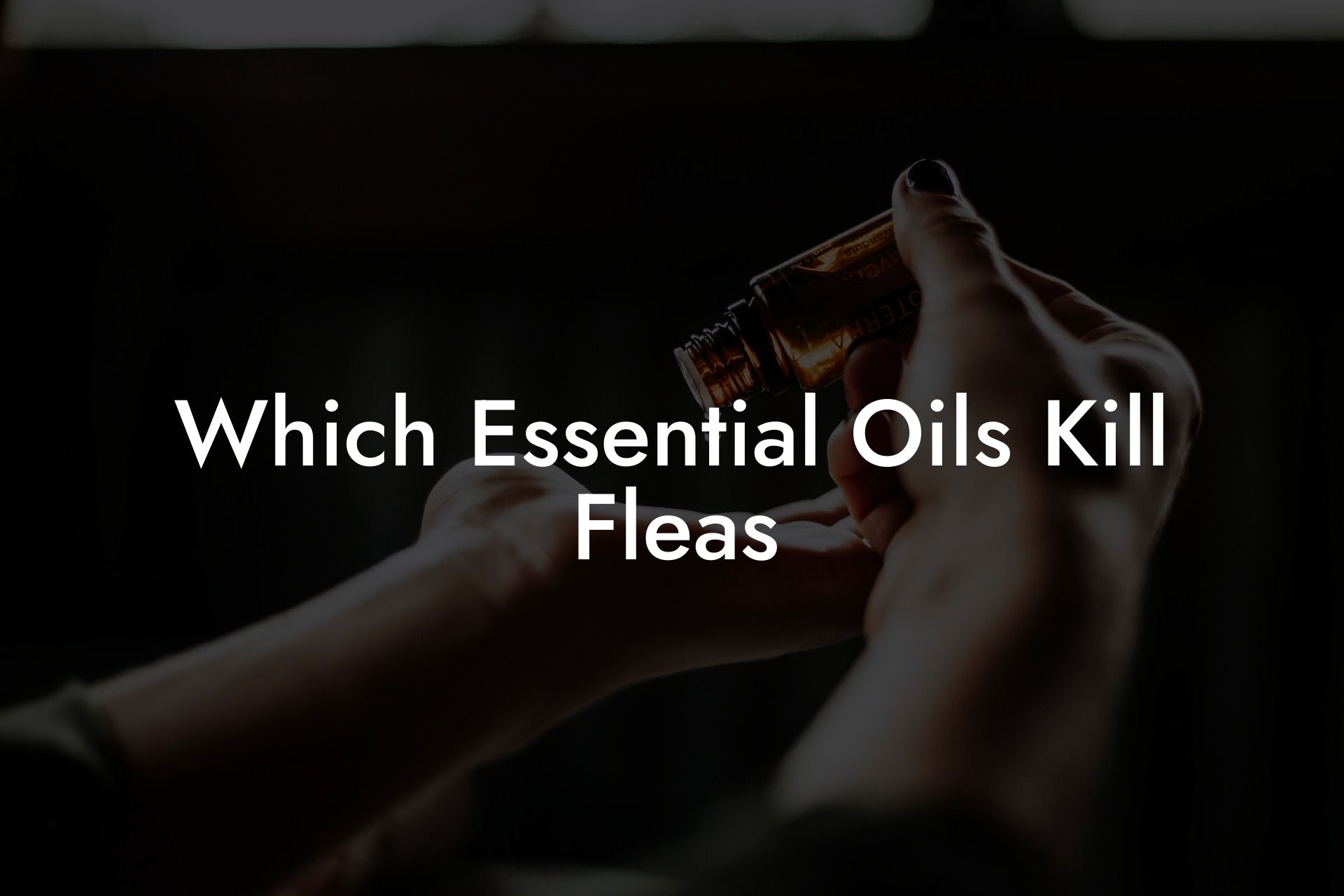 Which Essential Oils Kill Fleas