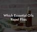 Which Essential Oils Repel Flies