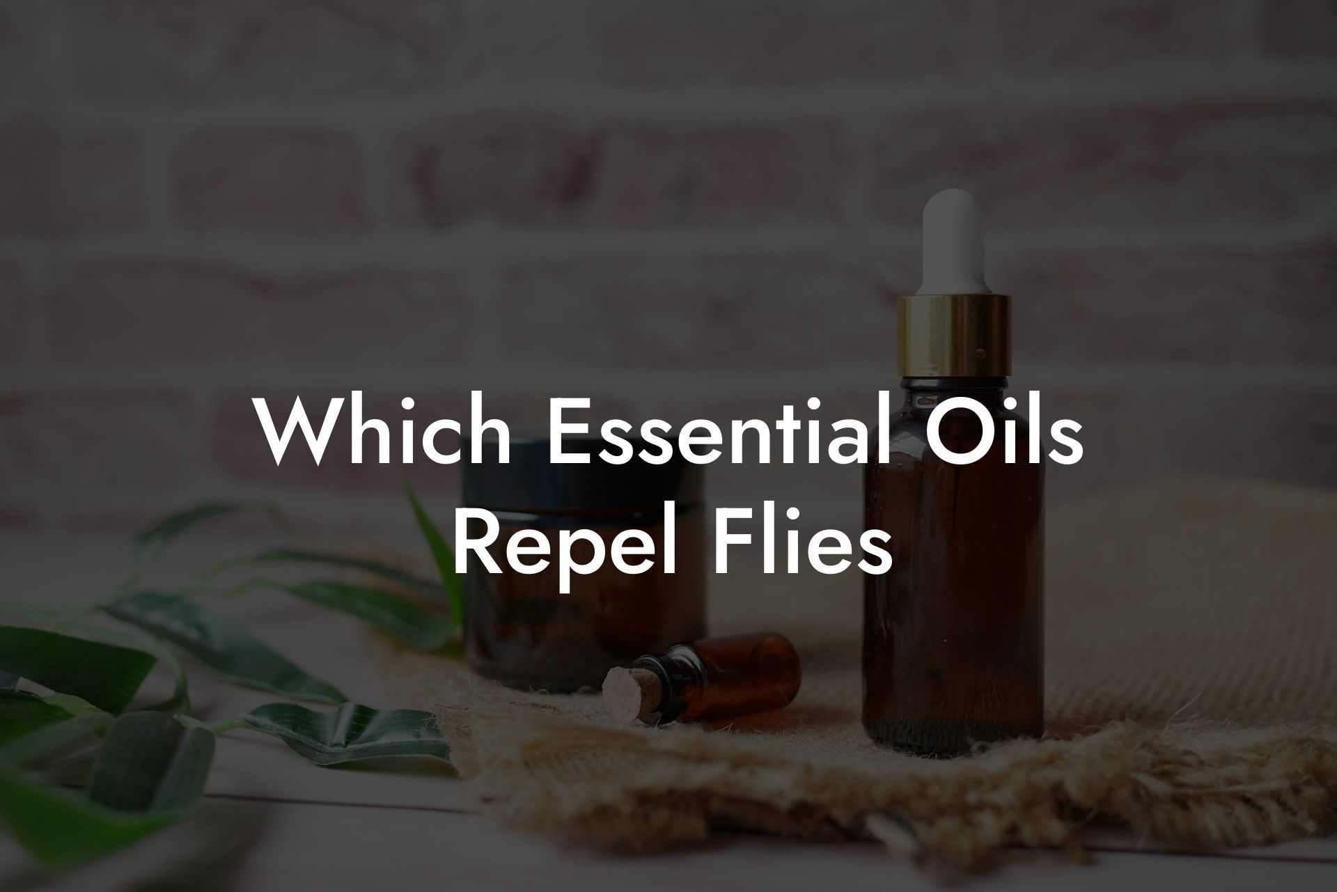 Which Essential Oils Repel Flies