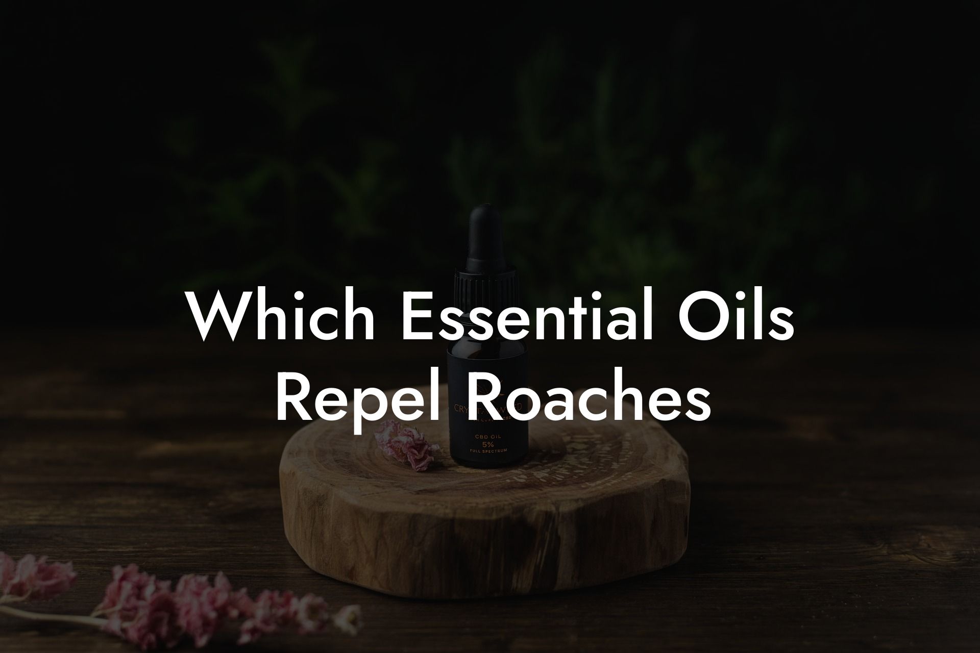 Which Essential Oils Repel Roaches