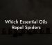 Which Essential Oils Repel Spiders