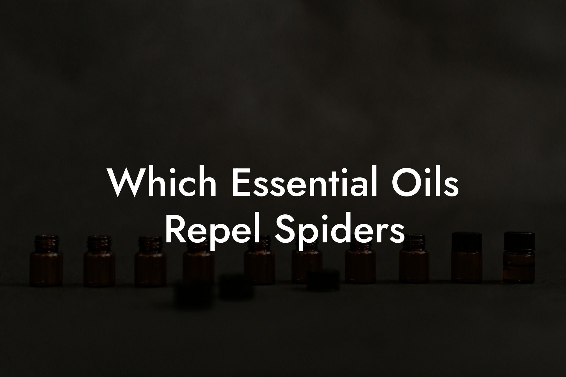 Which Essential Oils Repel Spiders