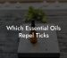 Which Essential Oils Repel Ticks