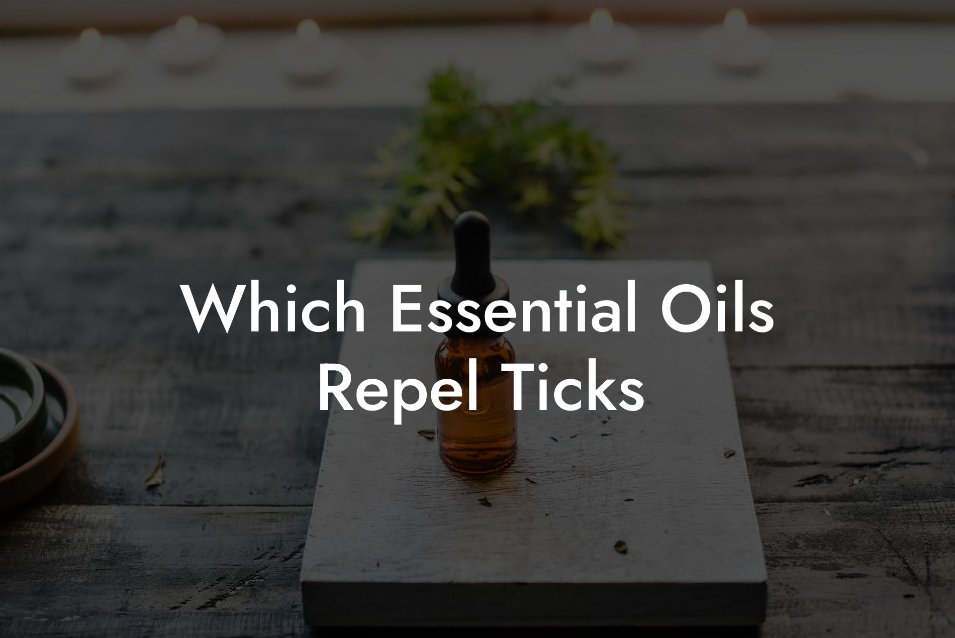 Which Essential Oils Repel Ticks