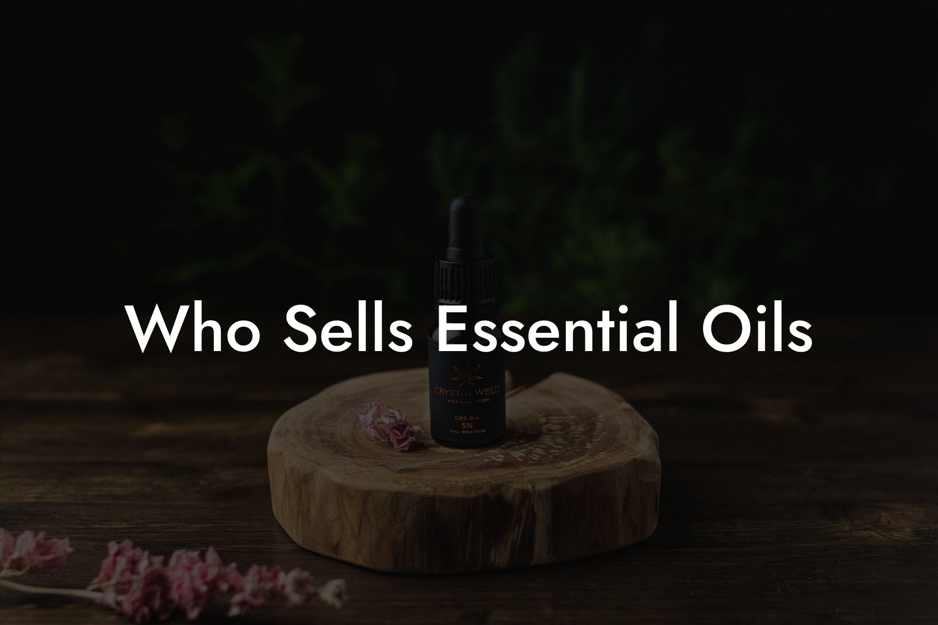 Who Sells Essential Oils