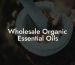 Wholesale Organic Essential Oils