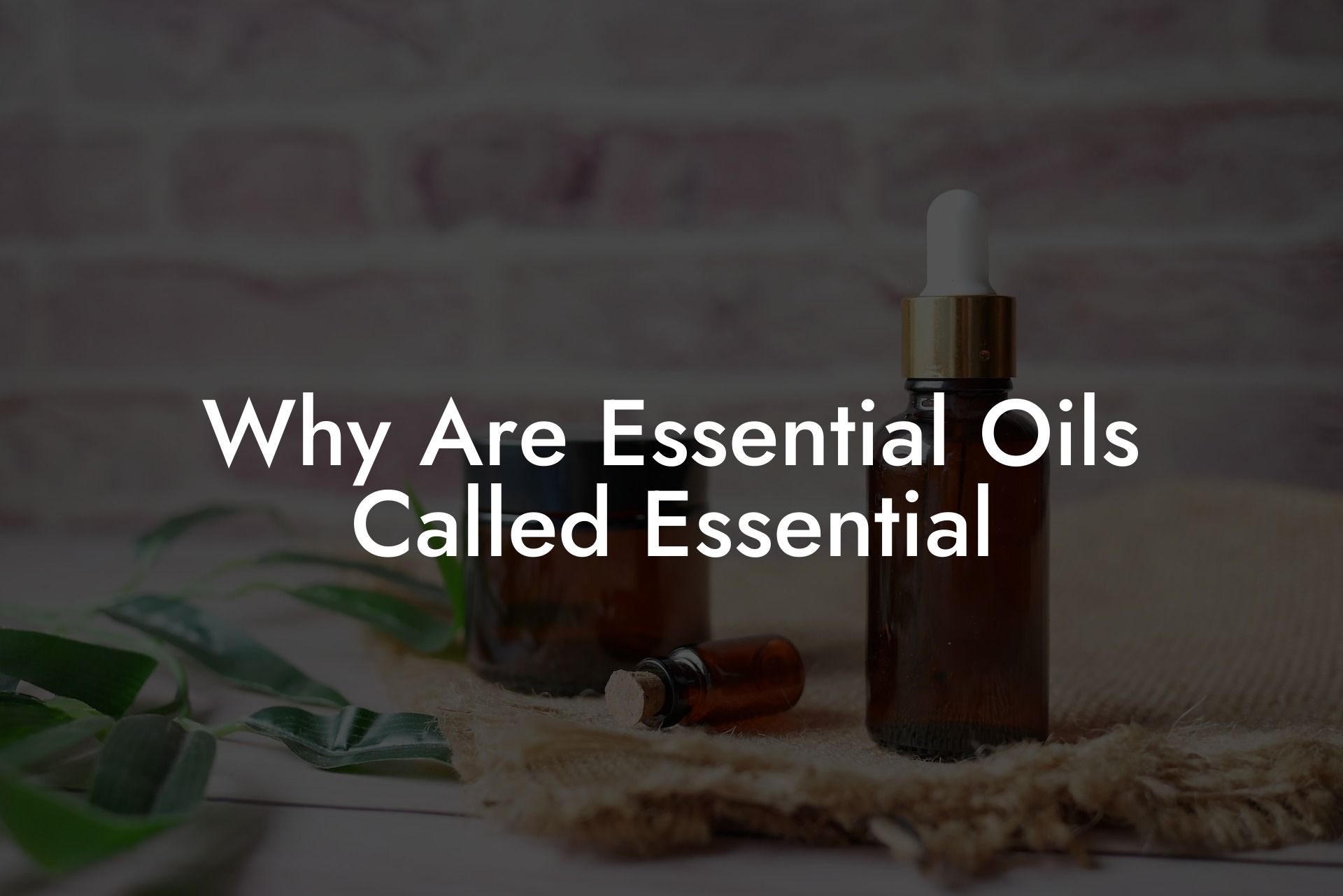 Why Are Essential Oils Called Essential