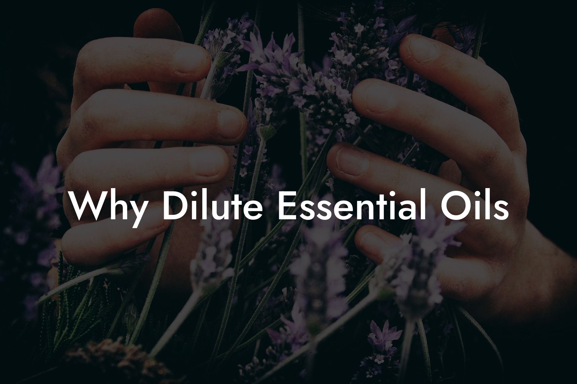 Why Dilute Essential Oils